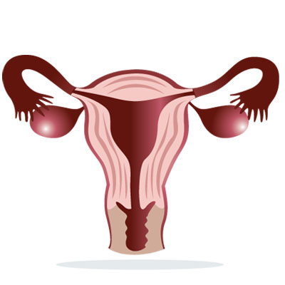absent-scanty-and-rare-menstruation-amenorrhea