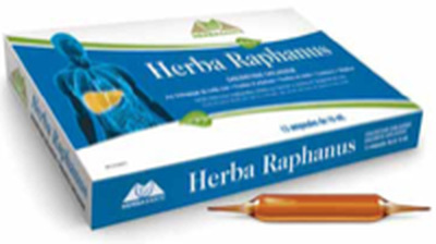 alterra-herba-raphanus