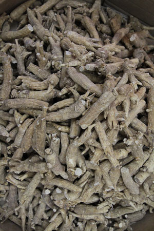 american-ginseng-canadian-ginseng-panax-quinquefolius