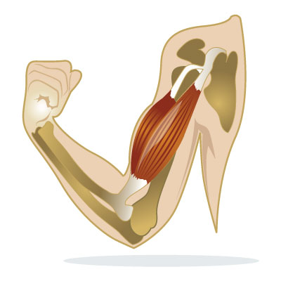 antiarthritic-antirheumatic