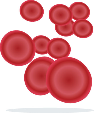 antiplatelet-antithrombotic