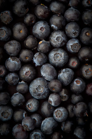 bilberry-europe-huckleberry-blueberry-north-america-vaccinium-myrtillus