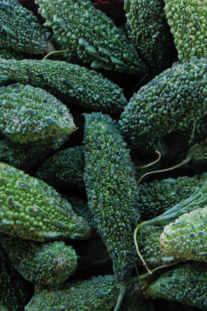 bitter-melon-karela-momordica-charantia