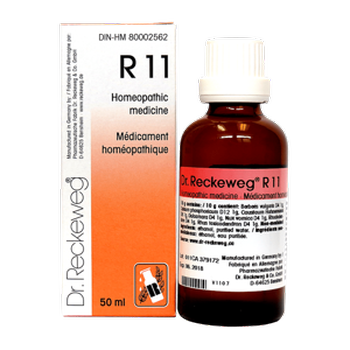 dr-reckeweg-co-gmbh-r11