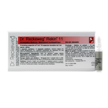 dr-reckeweg-co-gmbh-rekin-11