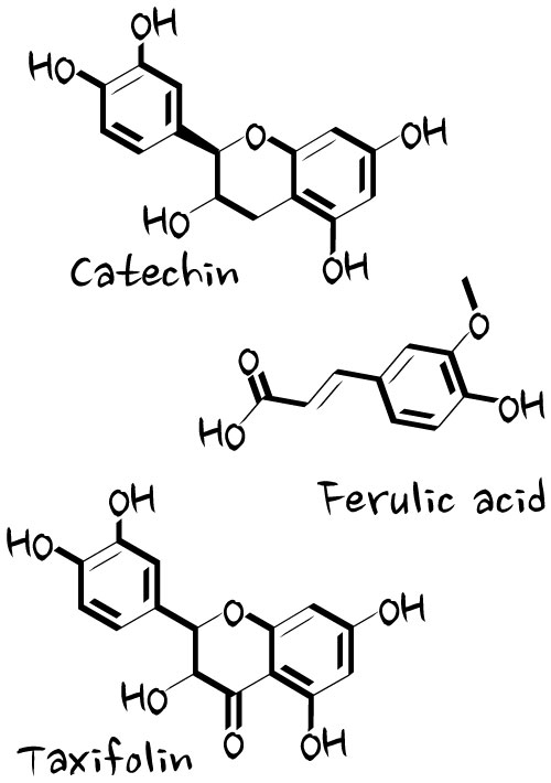 french-maritime-pine-bark-extract-pycnogenol