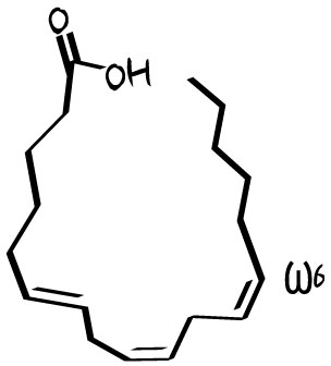 gla-gamolenic-acid-gla