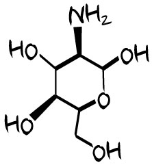 glucosamine-sulfate-glucosamine