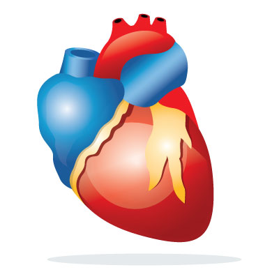 heart-attack-angina