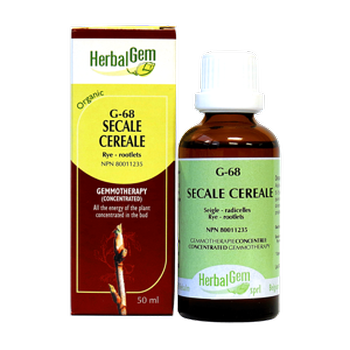 herbalgem-secale-cereale-rye-rootlets