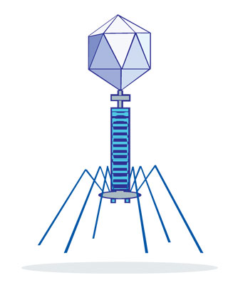 human-immunodeficiency-virusacquired-immune-deficiency-syndrome-hivaids