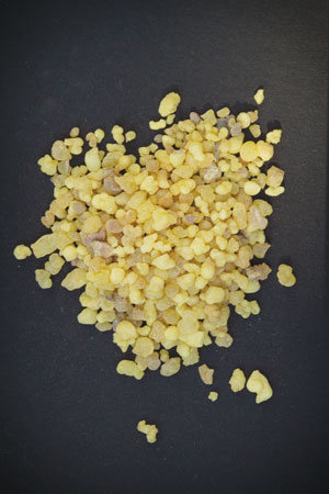 indian-frankincense-boswellia-serrata