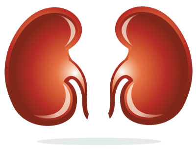kidney-disease-nephrotic-syndrome
