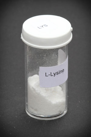 l-lysine-lysine