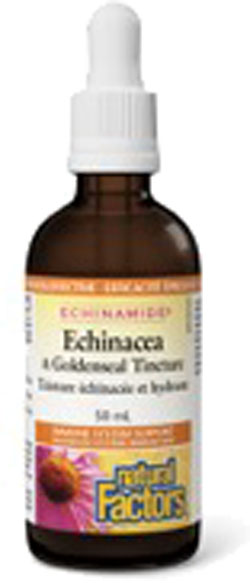 natural-factors-echinacea-goldenseal