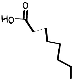 octanoic-acid-caprylic-acid