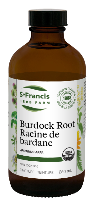 st-francis-herb-farm-burdock-root