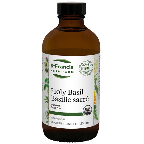st-francis-herb-farm-holy-basil