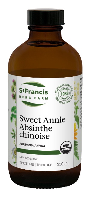 st-francis-herb-farm-sweet-annie