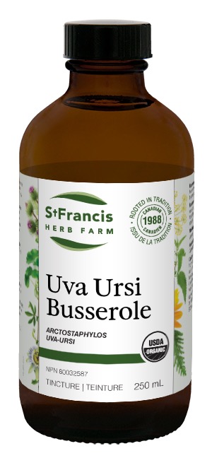 st-francis-herb-farm-uva-ursi