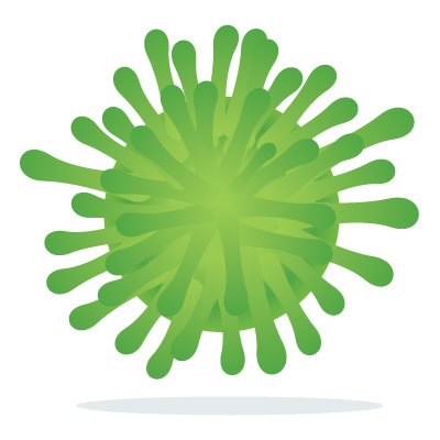 antiseptic antibacterial indications